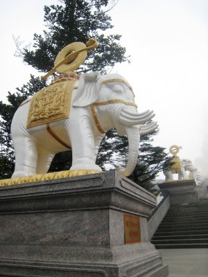 Golden Summit Elephant IMG_1404 .JPG