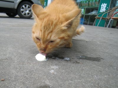  Ice-cream lover  IMG_1444 .JPG