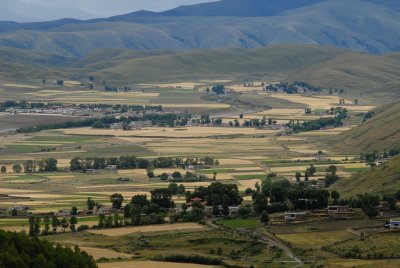 DSC_0172.JPG
