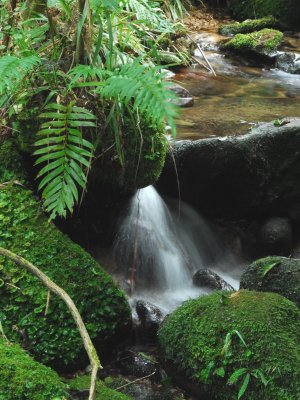 Abel Tasman National Park 1087.JPG