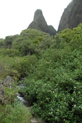 Iao Valley Maui DSC_0039.JPG