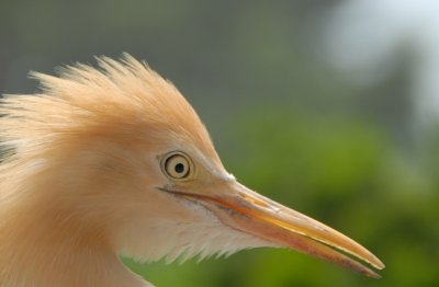 DSC_0964.JPG