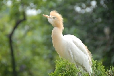 DSC_0955.JPG