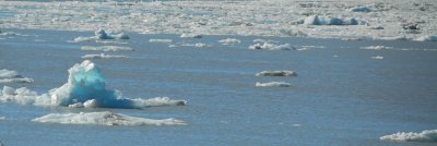 DSC_0523 .JPG