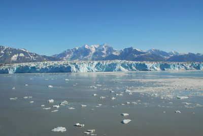 DSC_0508.JPG