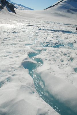 DSC_0614.JPG