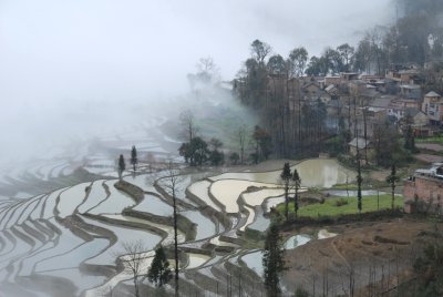 Duoyishu 多依樹DSC_0529.JPG