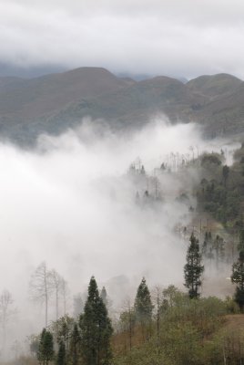 DSC_0564.JPG