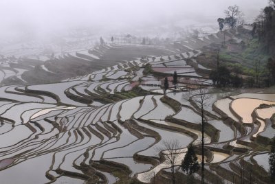 Duoyishu 多依樹DSC_0597e.JPG