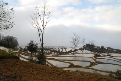 Quanfuzhuang 全福莊DSC_0781.JPG