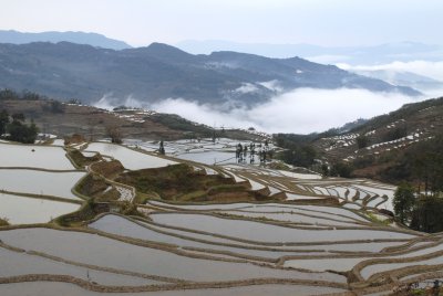 Quanfuzhuang Minor Village 全福莊DSC_0841e.JPG