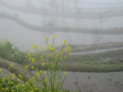 箐口IMG_1710e.JPG