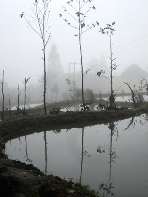 箐口IMG_1713.JPG