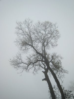 IMG_1766e.JPG