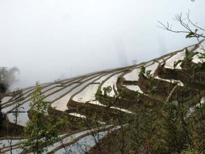 IMG_1837.JPG