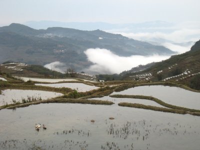 IMG_1869.JPG