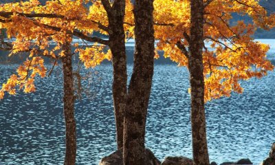 Fall in Sanabria
