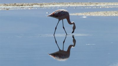 Chile_0468.jpg