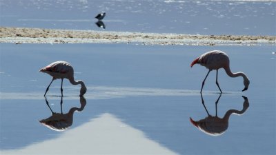 Chile_0473.jpg
