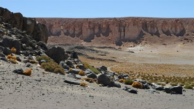 Chile_0968.jpg