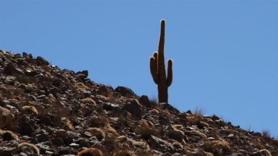 Chile_1391.jpg