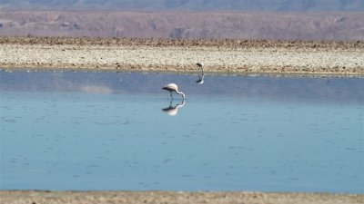 Chile_0044.jpg