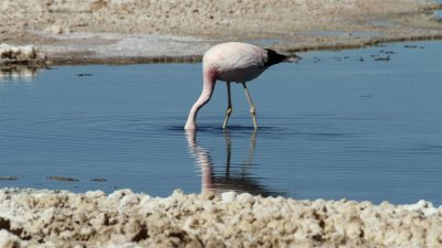 Chile_0074.jpg