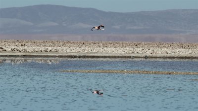 Chile_0079.jpg