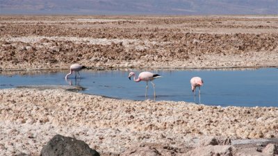 Chile_0086.jpg