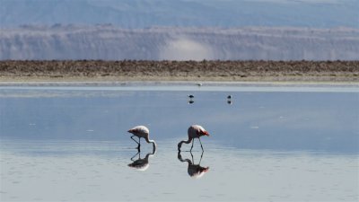 Chile_0199.jpg
