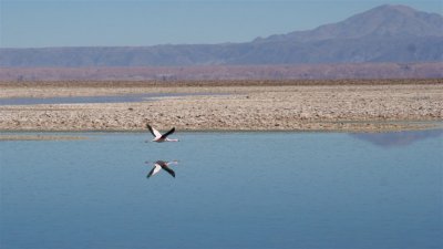 Chile_0268.jpg