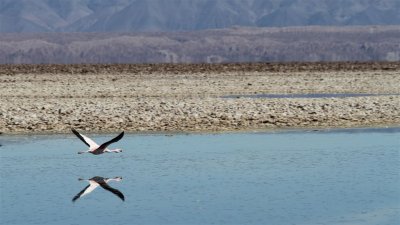 Chile_0272.jpg