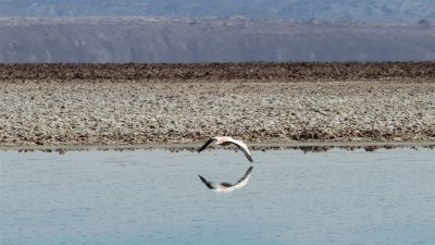 Chile_0276.jpg