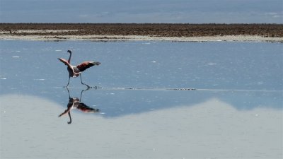 Chile_0314.jpg