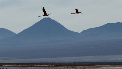 Chile_0351.jpg