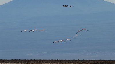 Chile_0370.jpg