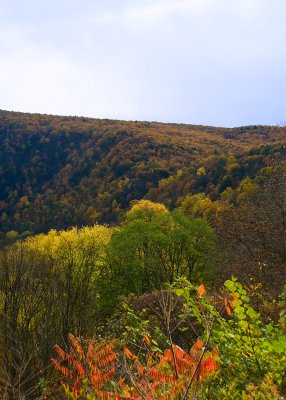 Delaware Water Gap