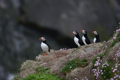 Shetland Islands