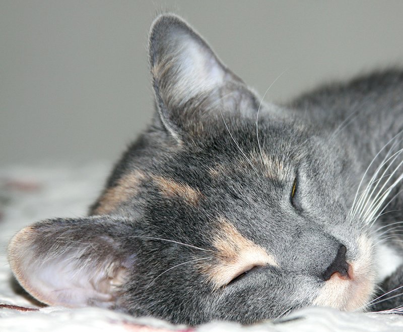 Moe, Zonked out.. 