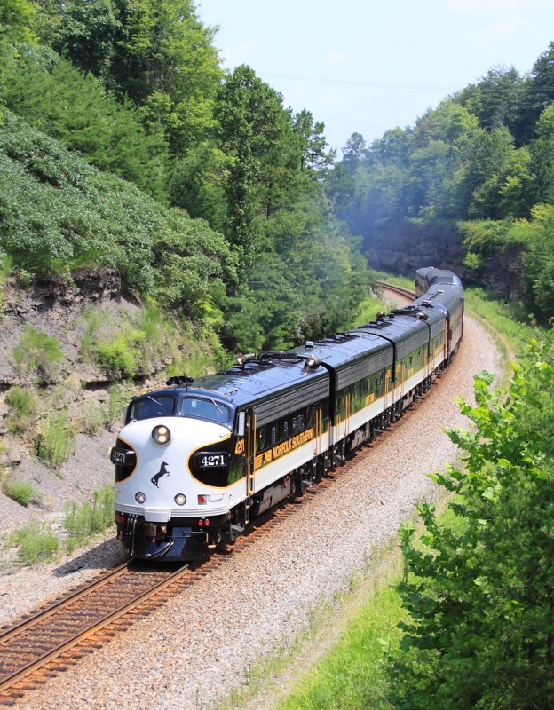 NS 956 sprints across Single track at Parkers Lake