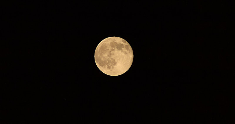 Harvest moon