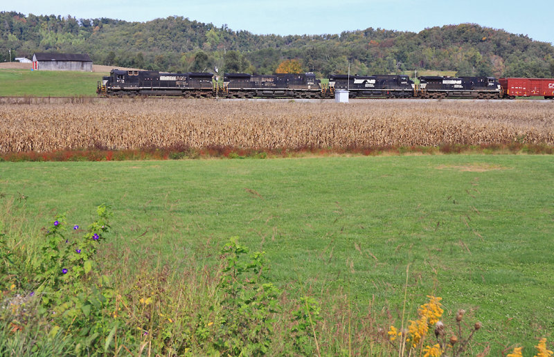 NS 175 rolls down the valley at Bowen 