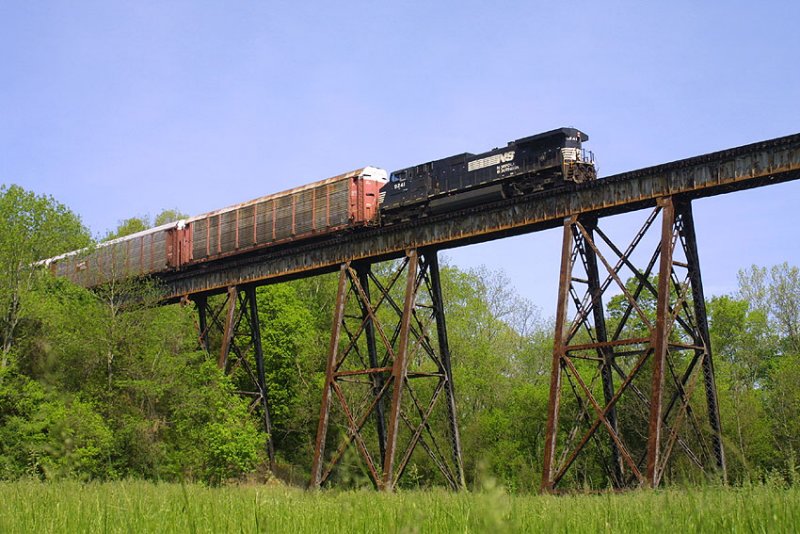 NS T79