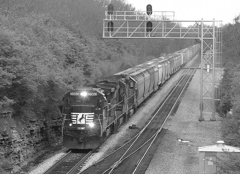 NS 50G