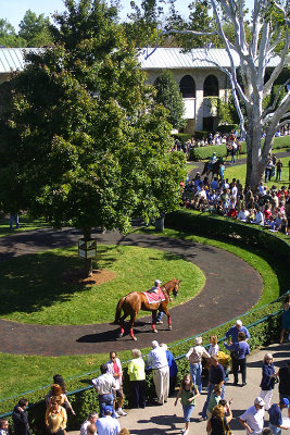 Keeneland 2008 Fall meet