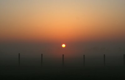 Sunrise over the Garden of Wisdom