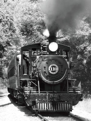 Little River RR #110 on a hourly trip 