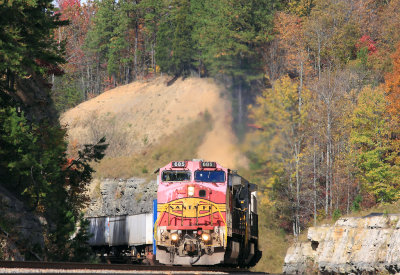 A ATSF Pinkbonnet leads 229 South 