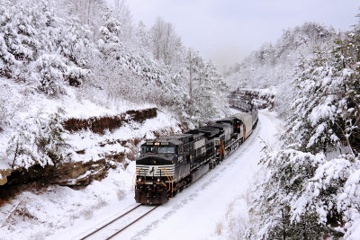 NS 66M, a loaded unit ethanol train, rolls South through the winter landscape at Parkers Lake 