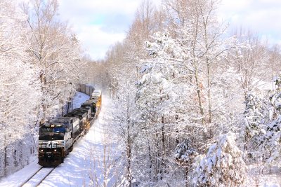 The wet snow is still hanging in the bare tree's as NS 197 makes haste across single track. 